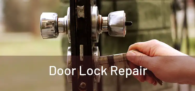 Door Lock Repair